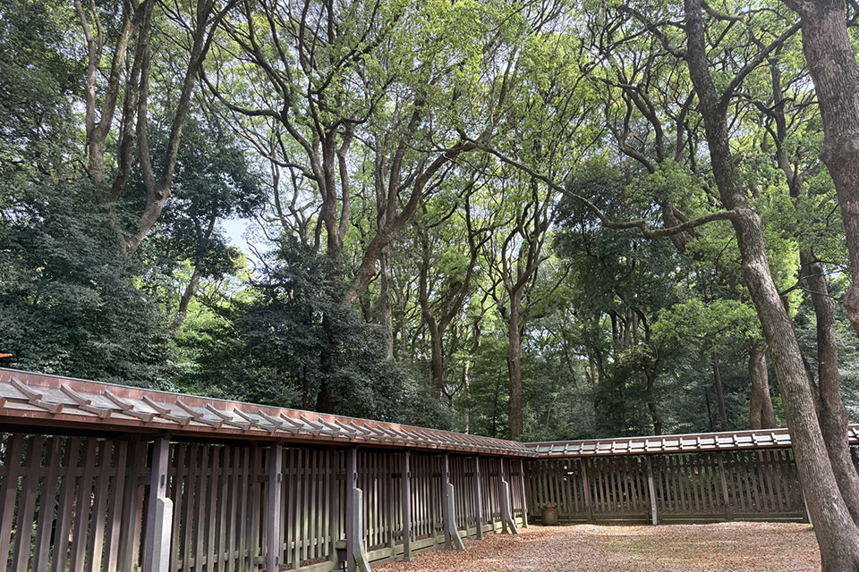 山林管理でのお困りごと