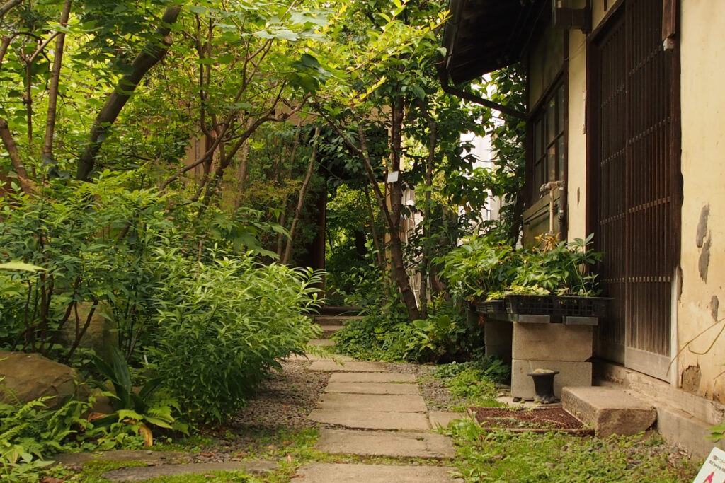 伐採業者の選び方を徹底解説｜費用相場や失敗しない悪徳業者の見分け方