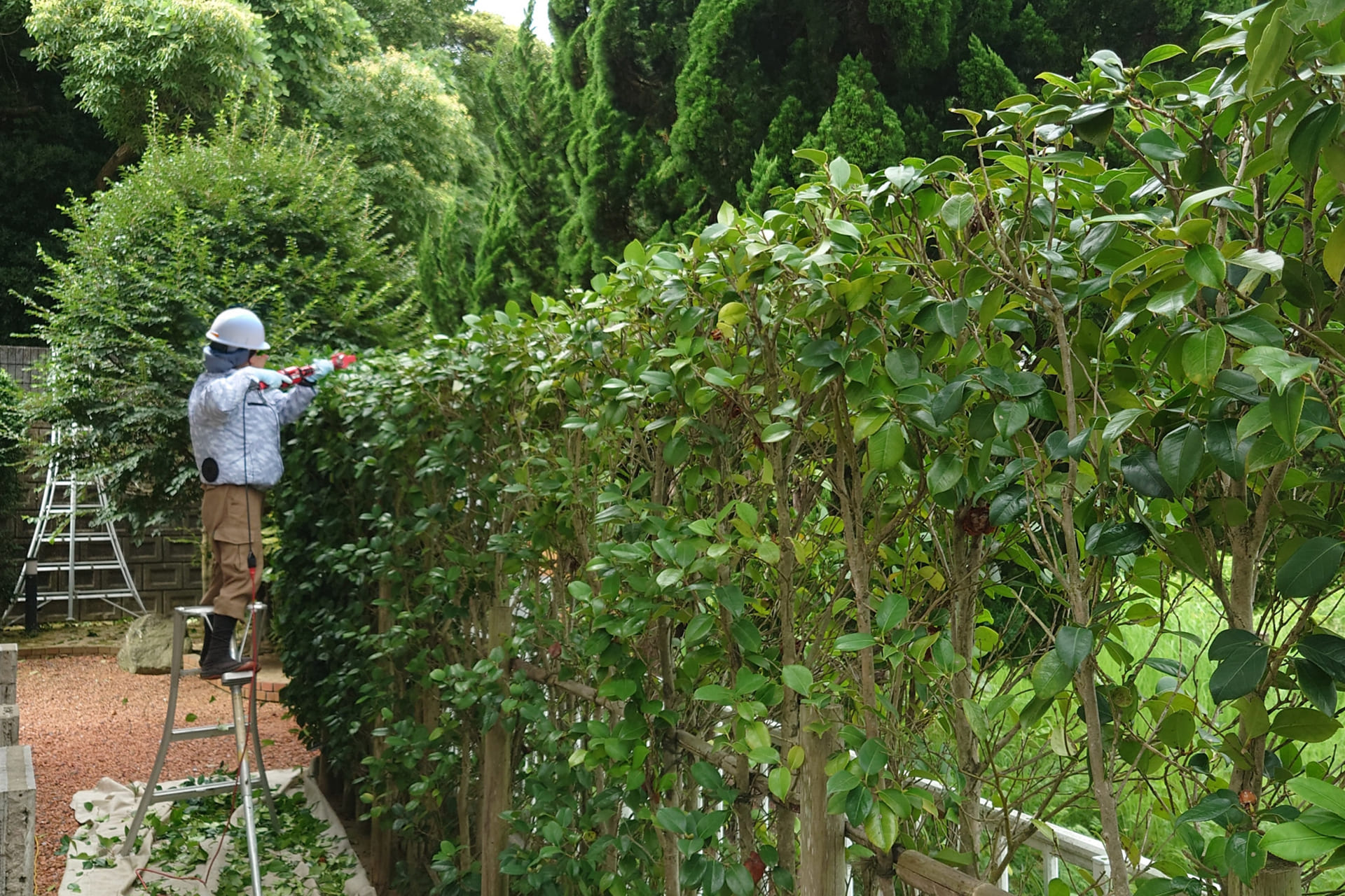 無理は禁物｜業者（伐採業者）に依頼するメリットと費用相場