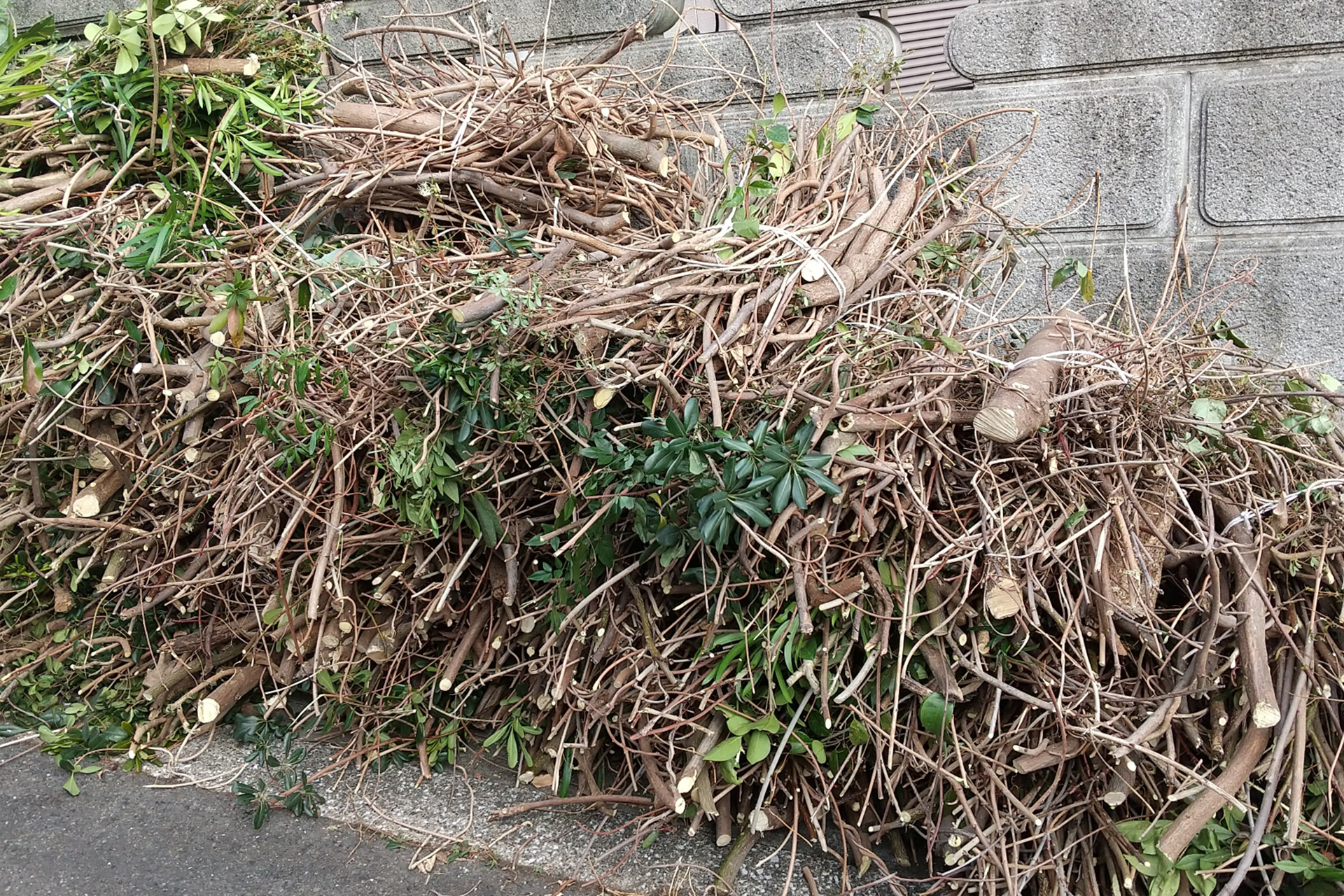 切った後の枝木の処分方法