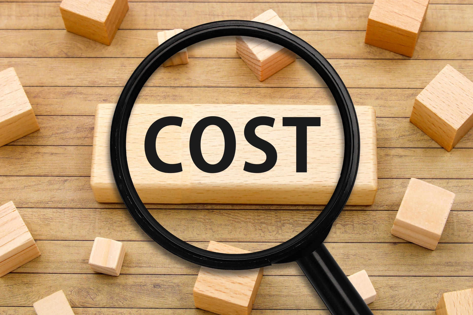 伐採・剪定の費用相場とコストを抑えるポイント